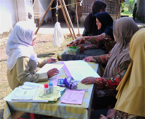 Posyandu Volunteers